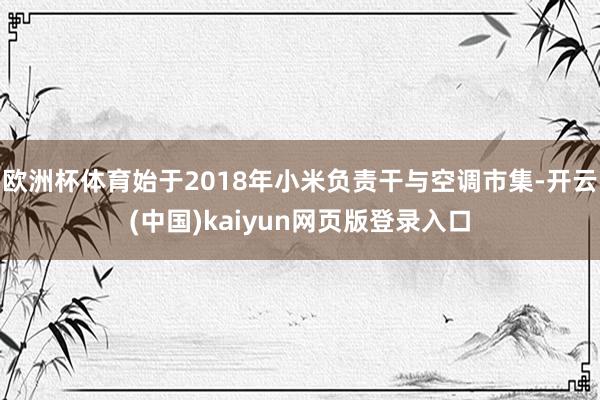 欧洲杯体育始于2018年小米负责干与空调市集-开云(中国)kaiyun网页版登录入口
