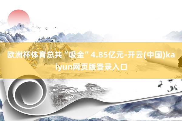 欧洲杯体育总共“吸金”4.85亿元-开云(中国)kaiyun网页版登录入口