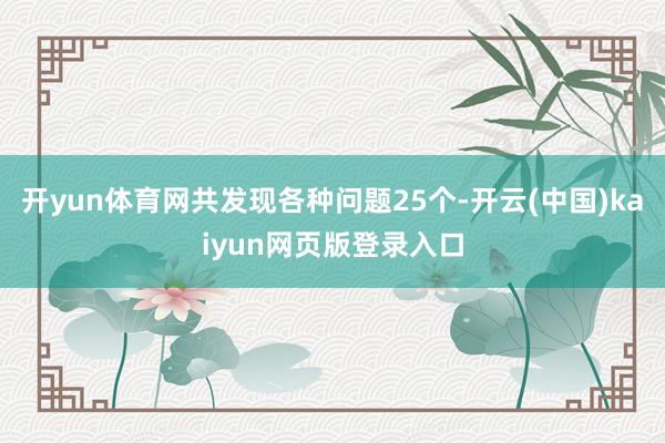 开yun体育网共发现各种问题25个-开云(中国)kaiyun网页版登录入口